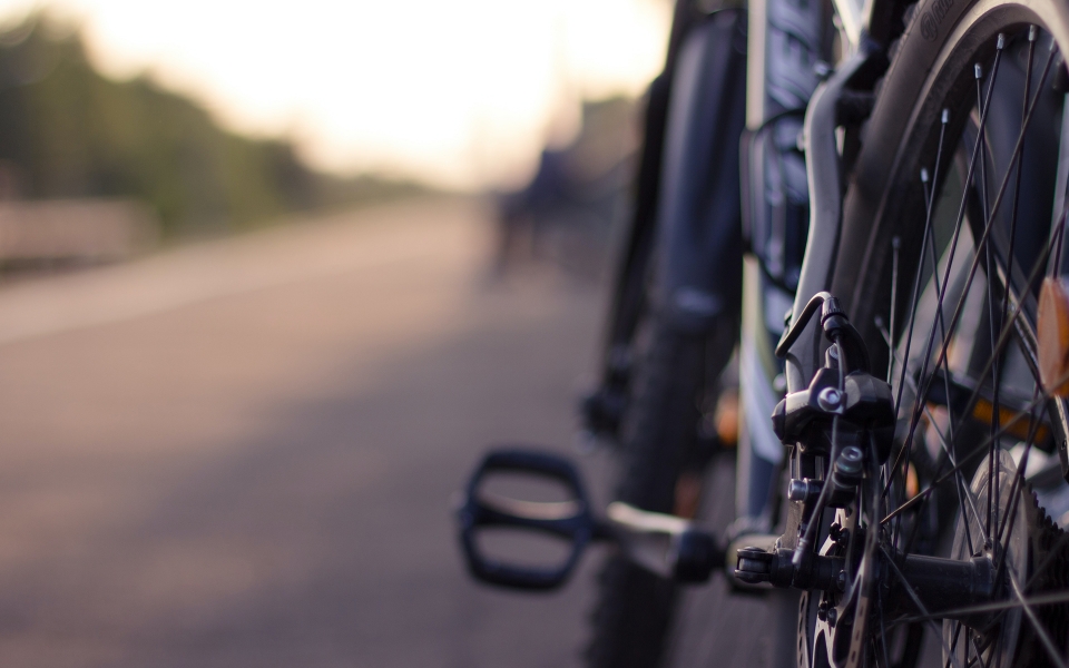 Close-up of bikes