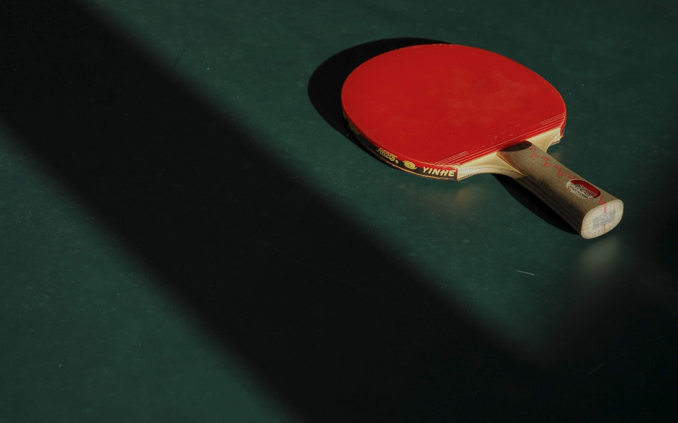 Table tennis bat
